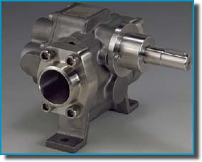 Pompes &agrave; engrenages inox AISI316L